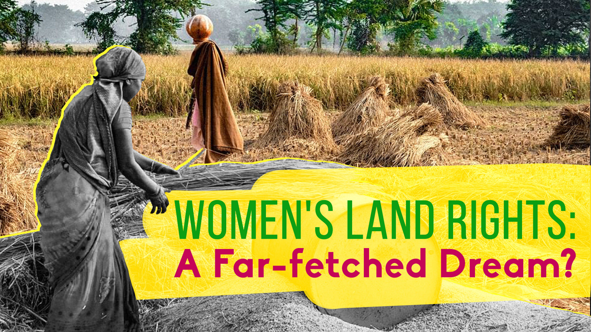 Hindu Succession Act 1956 What Does it Say About Women's Rights